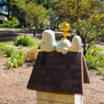 home remodel santa rosa